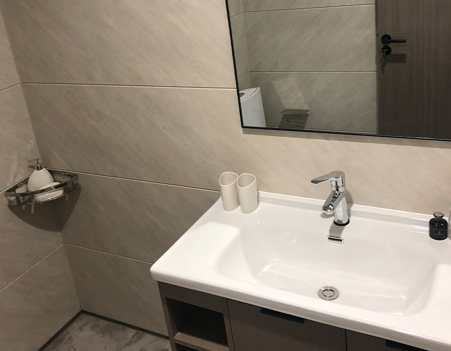Horizontale vorgefertigte modulare Sanitärbäder aus PEC-Wandbrett